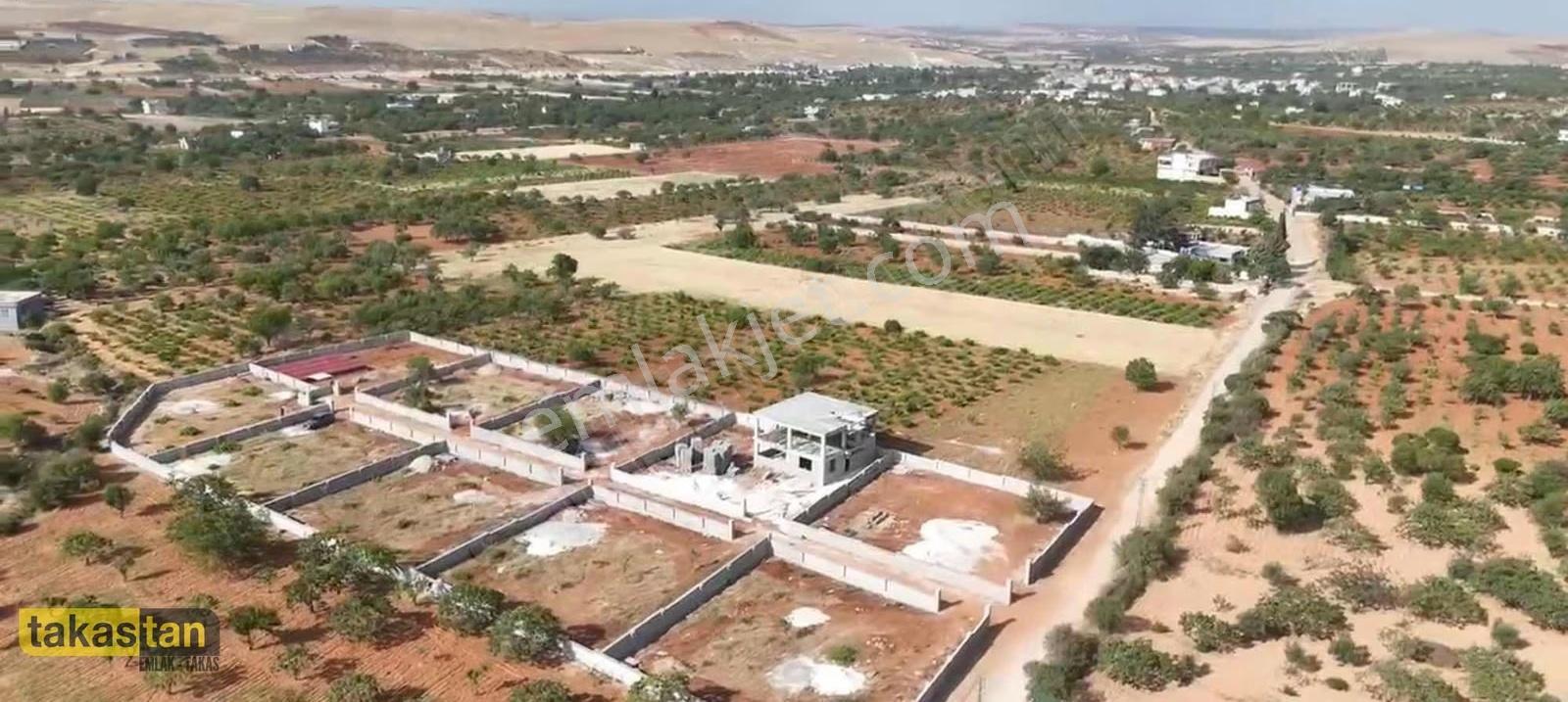 Subogaz Mah De Bağ Evi Yapmaya Uygun Satılık Bag Evlik Arazi - Görsel 12