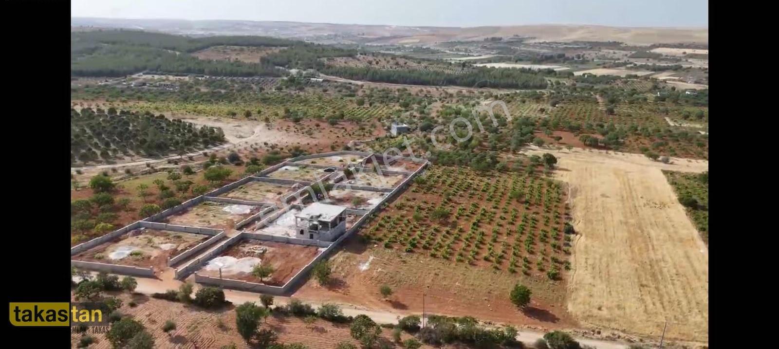 Subogaz Mah De Bağ Evi Yapmaya Uygun Satılık Bag Evlik Arazi - Görsel 8