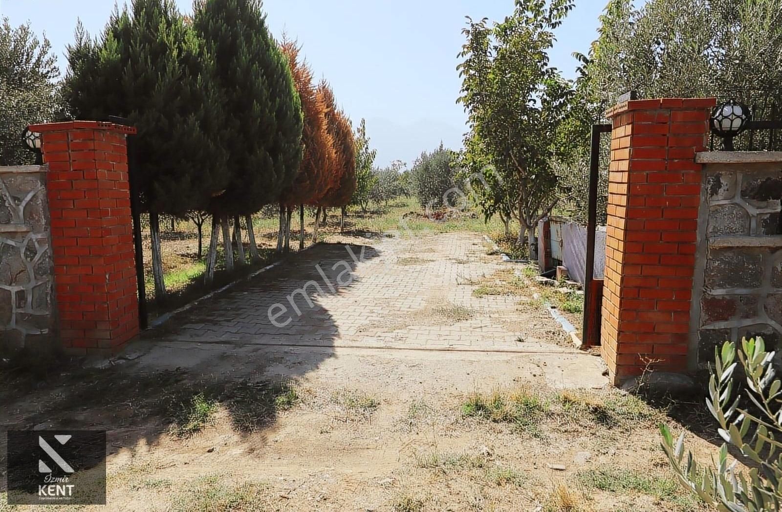 Kemalpaşa Aşağıkızlıca'da Satılık 2819 M2 Bahçeli Müstakil Ev - Görsel 24