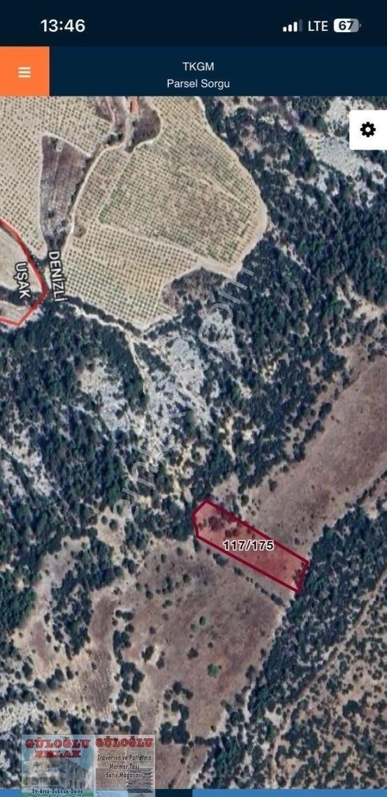 Bekilli Kutlubey \ Kavaklı Mevki Satılık Tarla - Görsel 3