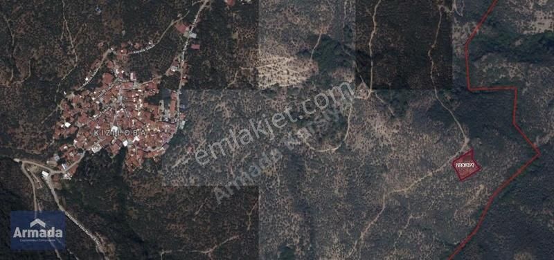 İzmir Bayındır Kızıloba Mahallesinde Satılık 2.569 M² Zeytinlik