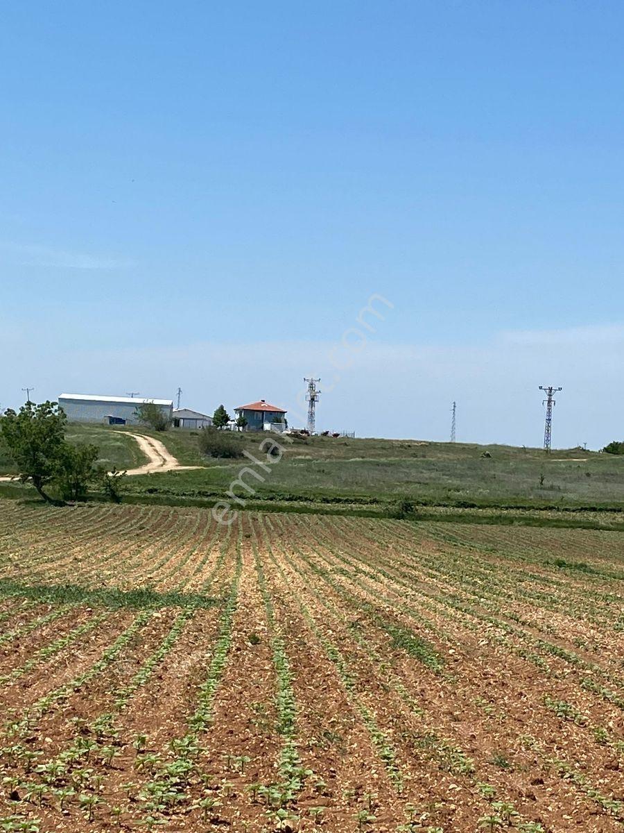 Satlık Tarla Pınarhisar Tozaklı'da 4.766.m2 - Görsel 33