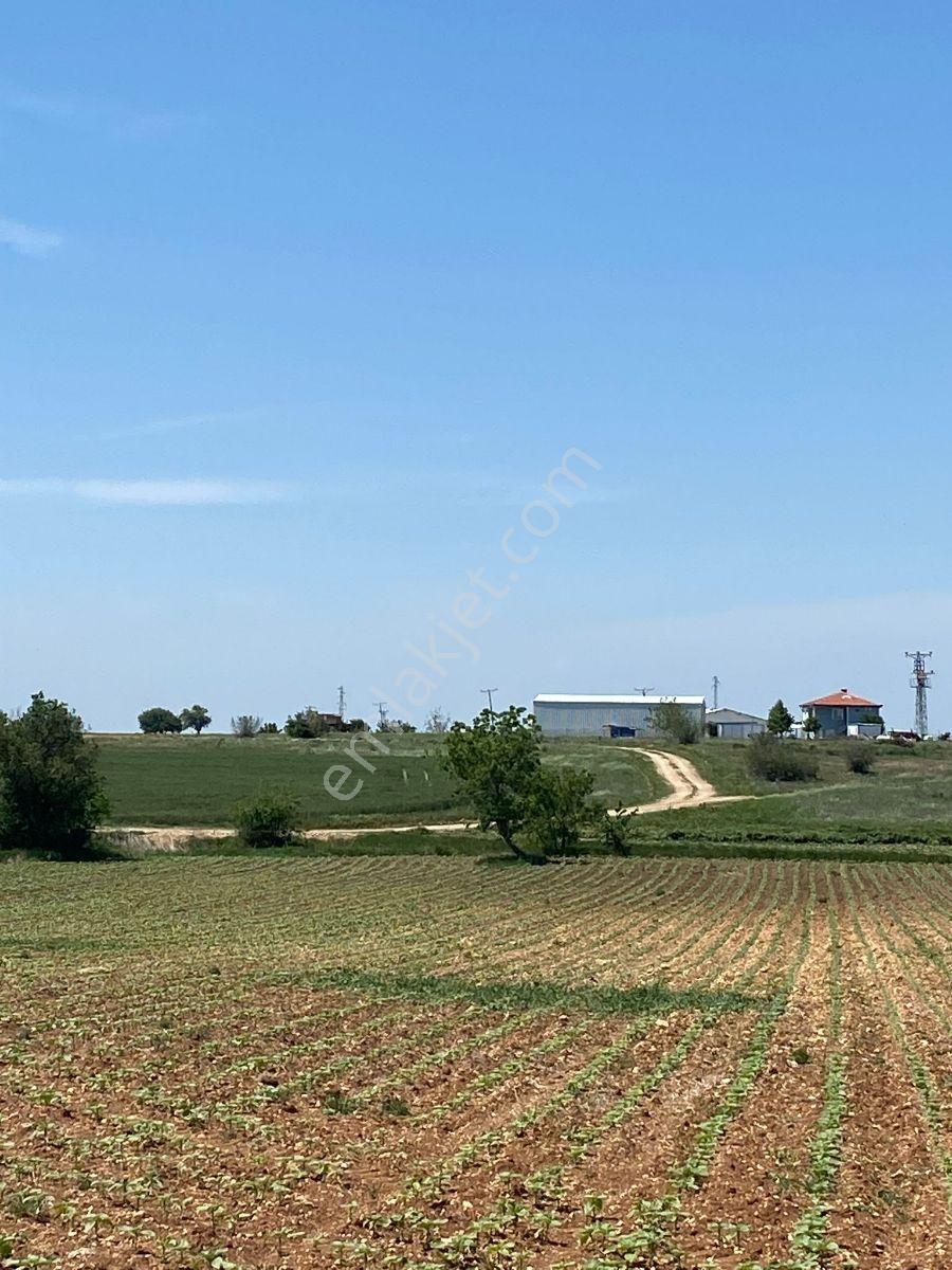 Satlık Tarla Pınarhisar Tozaklı'da 4.766.m2 - Görsel 21