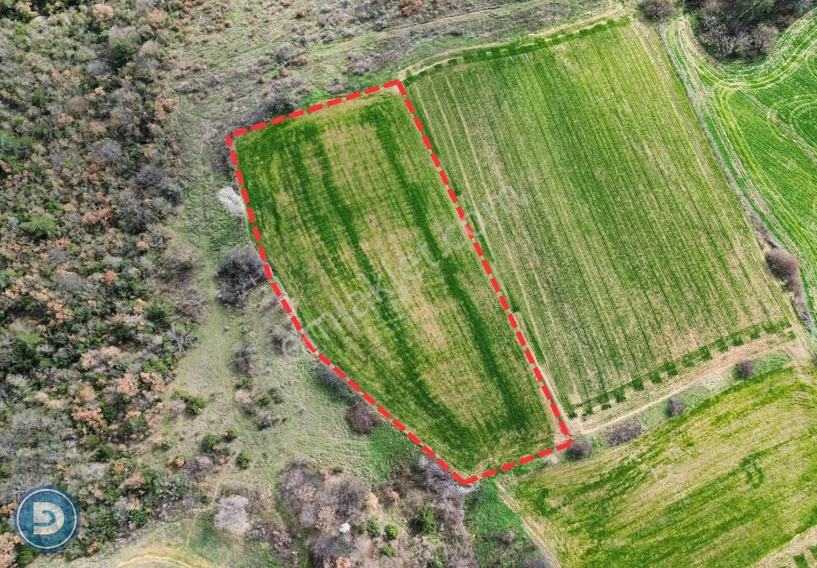 ...yenişehir Kavaklıda Satılık 4.600m2 Uygun Hesaplı Tarla ... - Görsel 5