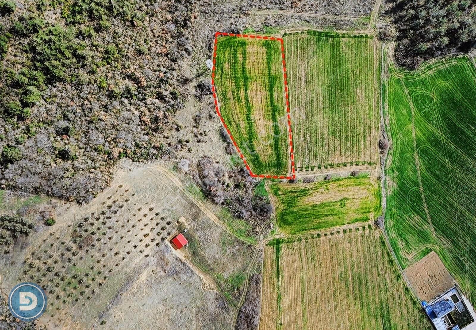 ...yenişehir Kavaklıda Satılık 4.600m2 Uygun Hesaplı Tarla ... - Görsel 3