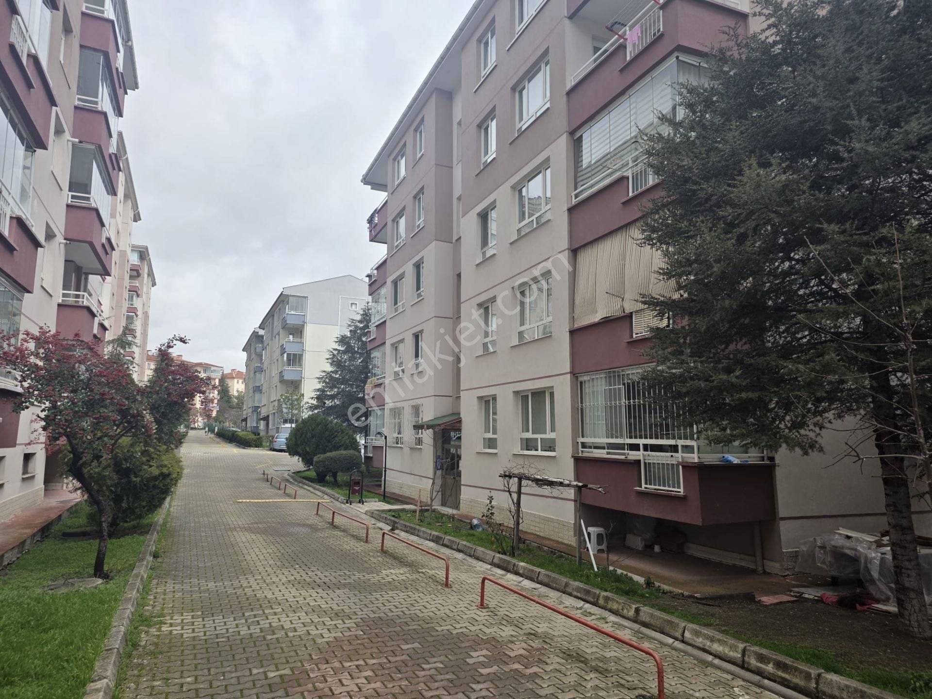 Batıkent Batısitesi Mahallesi Egemen Sitesi Arakat 3+1 Kiralık Daire - Görsel 5