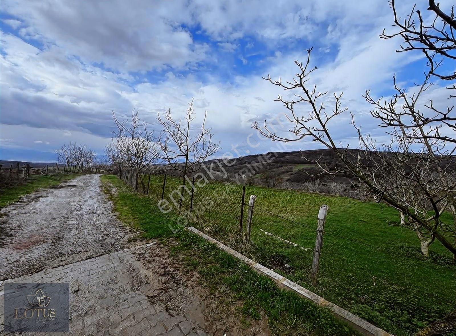 İzmit Balörende 1063 M2 Satılık %5 İmarlı Tarla - Görsel 5