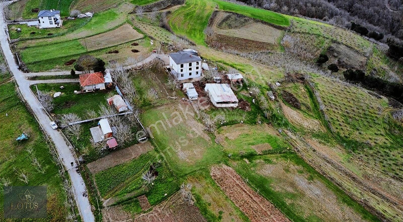 İzmit Balörende 1063 M2 Satılık %5 İmarlı Tarla