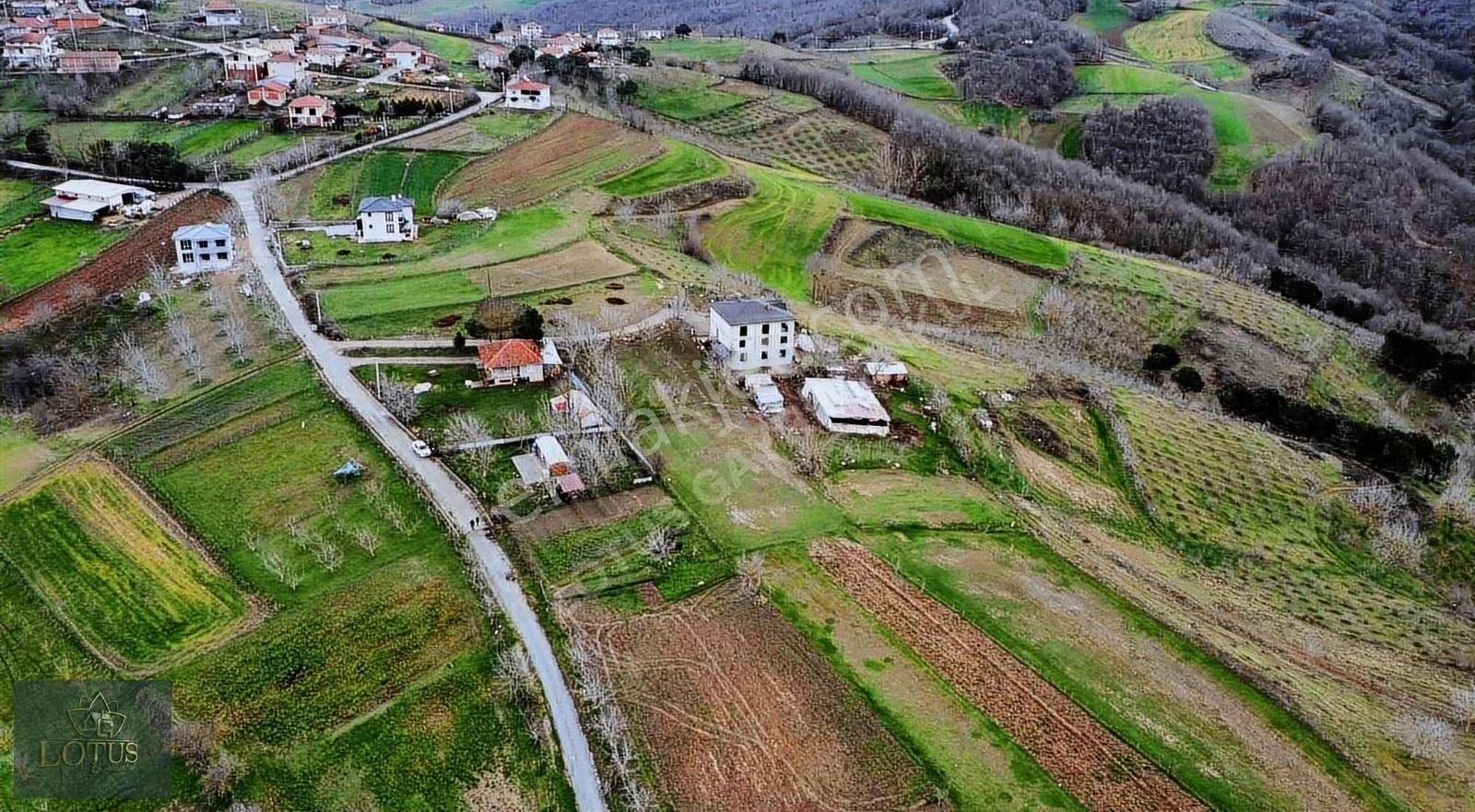 İzmit Balörende 1063 M2 Satılık %5 İmarlı Tarla - Görsel 18