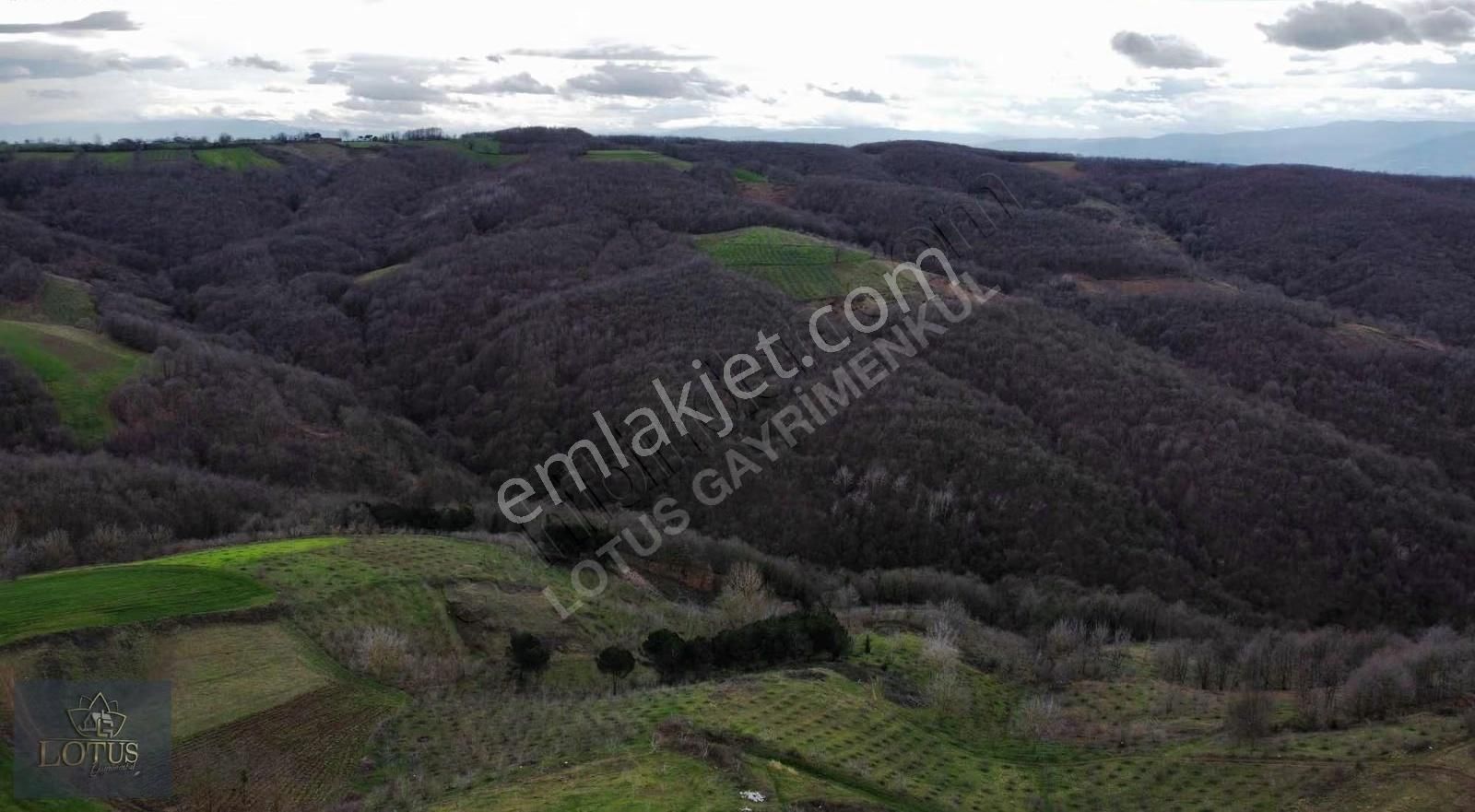 İzmit Balörende 1063 M2 Satılık %5 İmarlı Tarla - Görsel 16