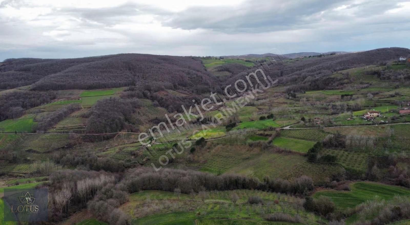 İzmit Balörende 1063 M2 Satılık %5 İmarlı Tarla - Görsel 6