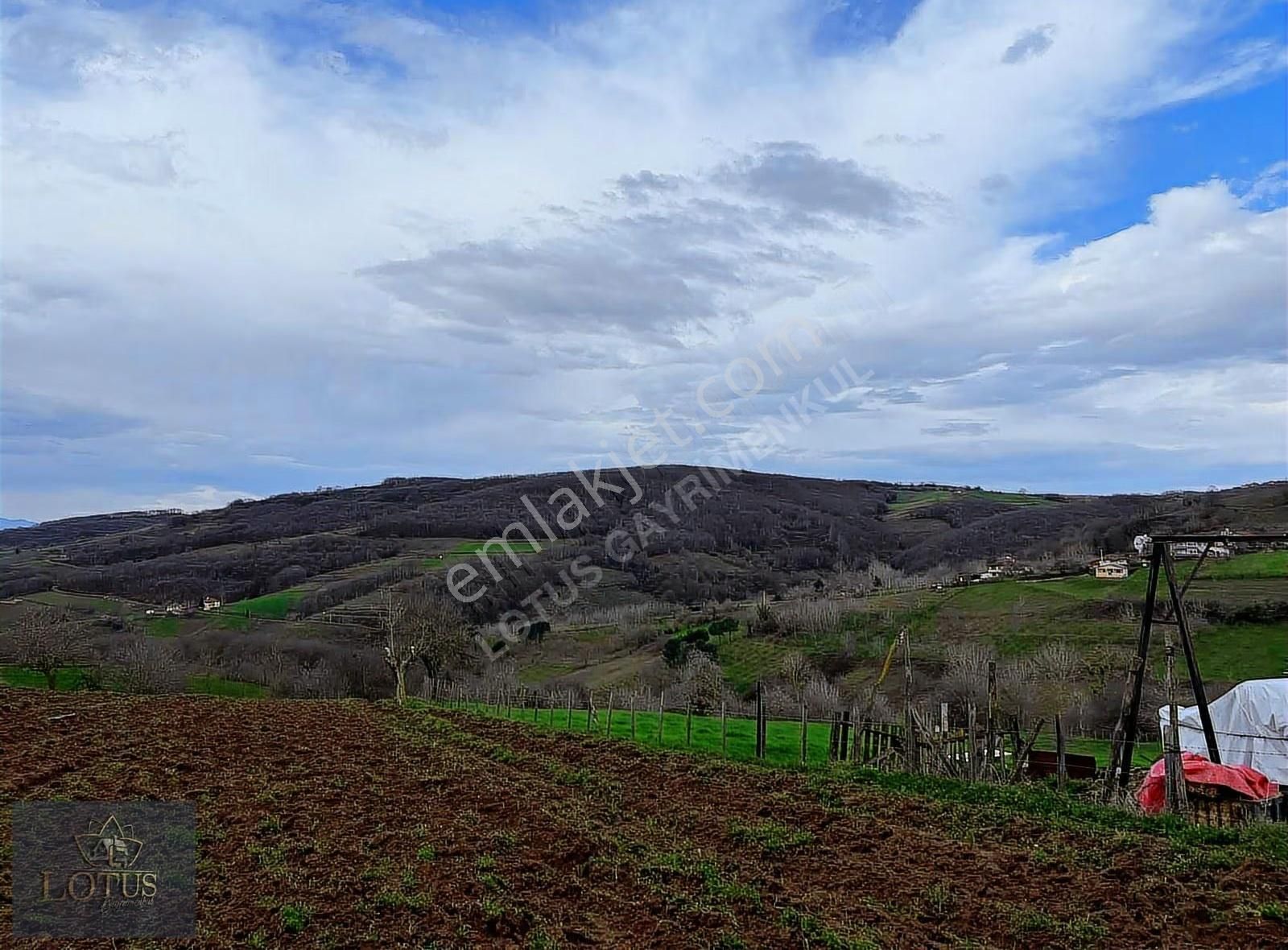 İzmit Balörende 1063 M2 Satılık %5 İmarlı Tarla - Görsel 7