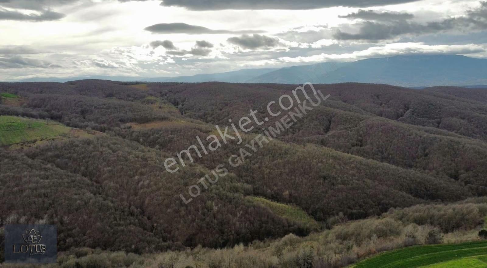 İzmit Balörende 1063 M2 Satılık %5 İmarlı Tarla - Görsel 12