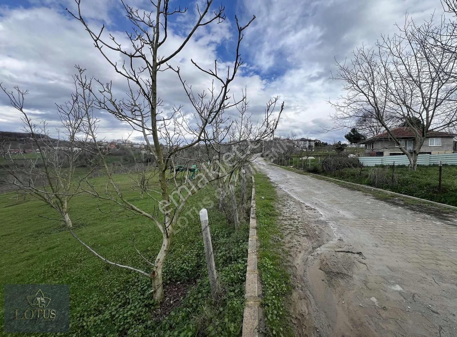 İzmit Balörende 1063 M2 Satılık %5 İmarlı Tarla - Görsel 8