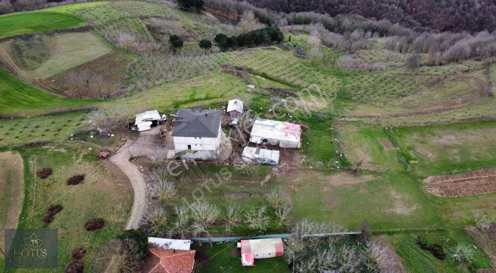 İzmit Balörende 1063 M2 Satılık %5 İmarlı Tarla - Görsel 9