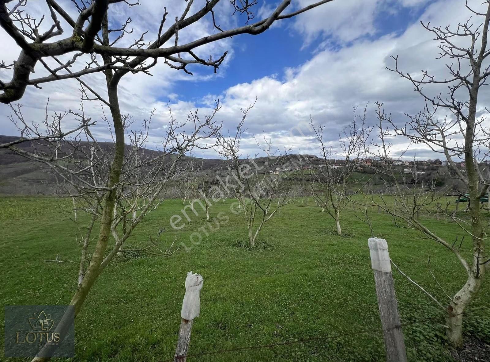 İzmit Balörende 1063 M2 Satılık %5 İmarlı Tarla - Görsel 14