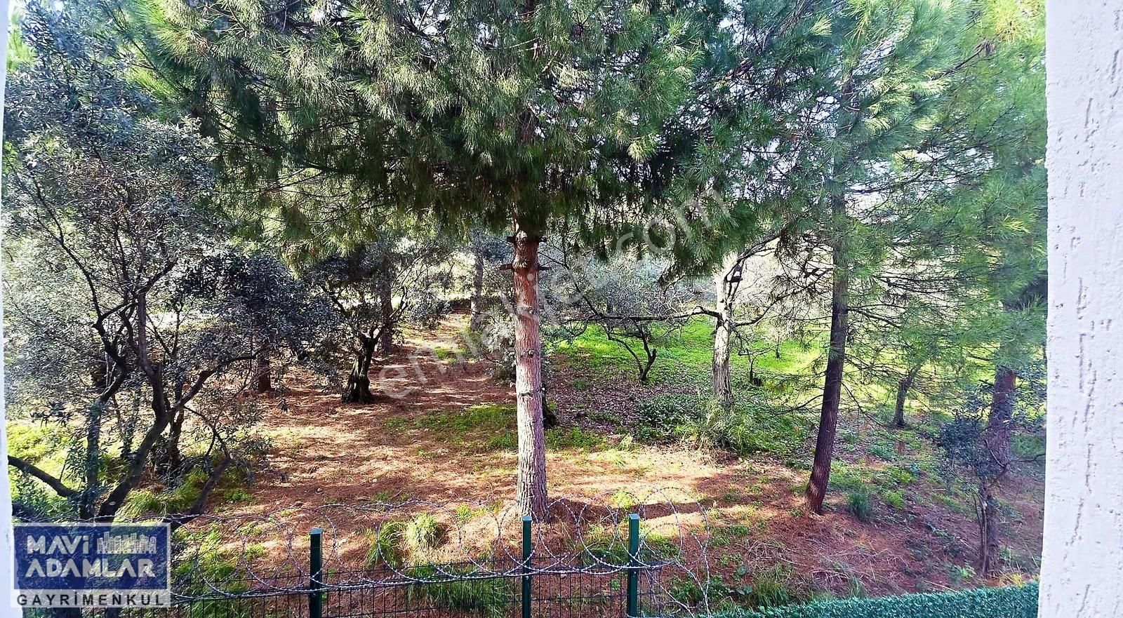 Ayda Celbiş'ten Mudanya Kumyaka 2+1 Kiralık Temiz Daire - Görsel 3