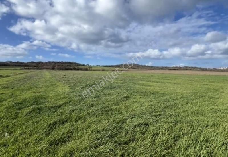 Yeniköyde Asfalt Cepheli, Verimli Ve Yatırımlık Fırsat Tarla - Görsel 22