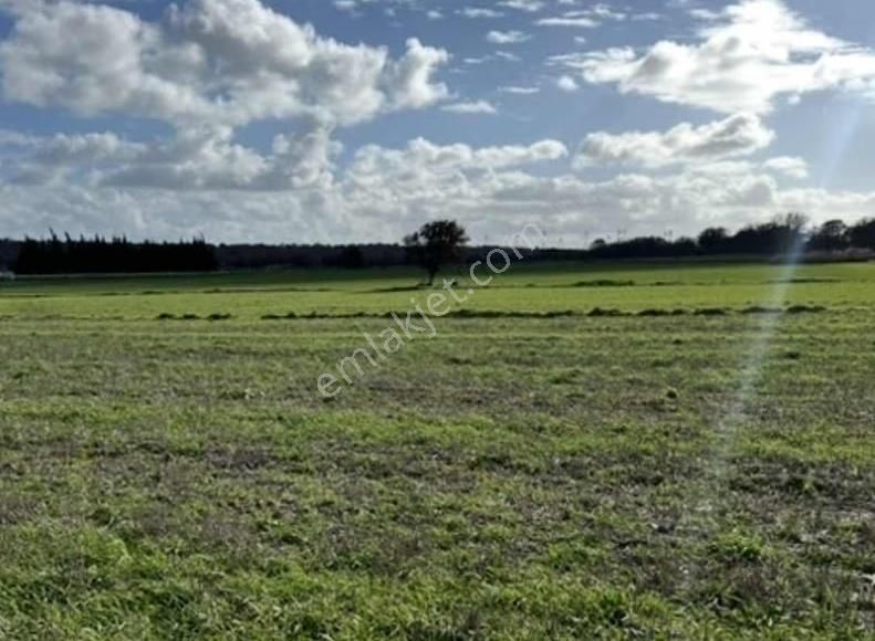 Yeniköyde Asfalt Cepheli, Verimli Ve Yatırımlık Fırsat Tarla - Görsel 24