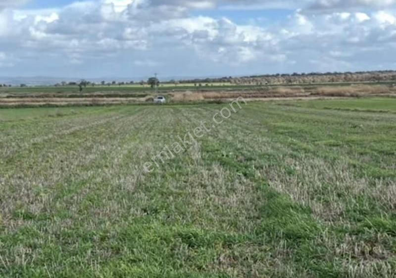 Yeniköyde Asfalt Cepheli, Verimli Ve Yatırımlık Fırsat Tarla - Görsel 23