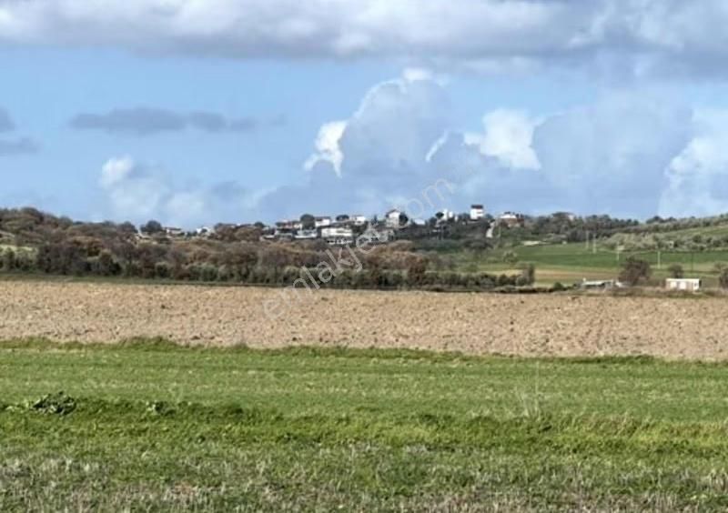 Yeniköyde Asfalt Cepheli, Verimli Ve Yatırımlık Fırsat Tarla - Görsel 26