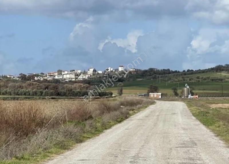 Yeniköyde Asfalt Cepheli, Verimli Ve Yatırımlık Fırsat Tarla - Görsel 4