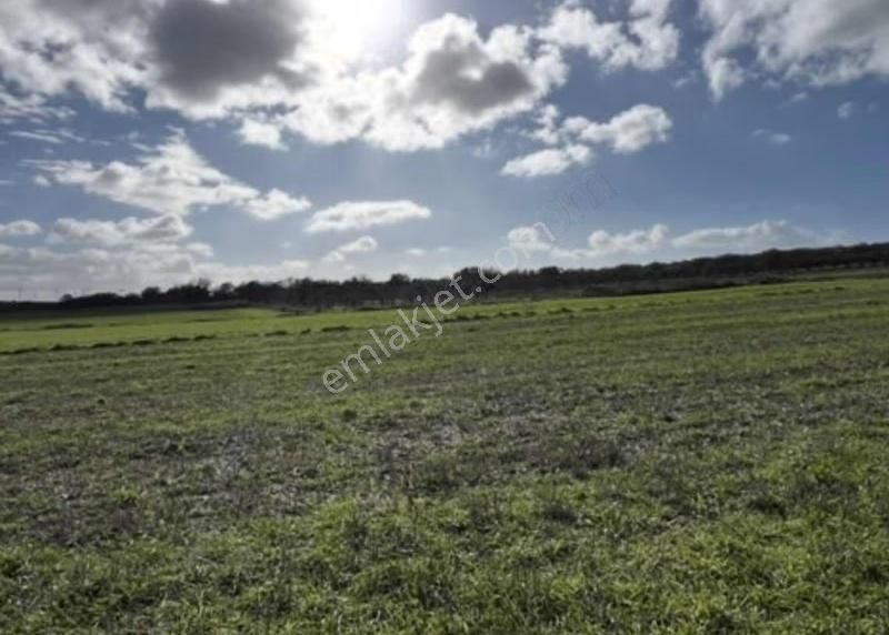 Yeniköyde Asfalt Cepheli, Verimli Ve Yatırımlık Fırsat Tarla - Görsel 8