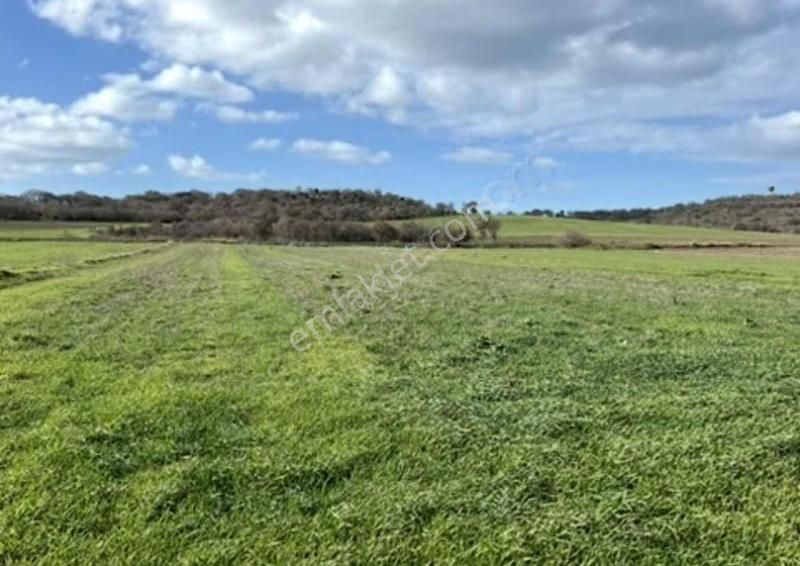 Yeniköyde Asfalt Cepheli, Verimli Ve Yatırımlık Fırsat Tarla - Görsel 17