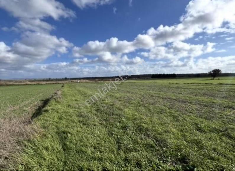 Yeniköyde Asfalt Cepheli, Verimli Ve Yatırımlık Fırsat Tarla - Görsel 15