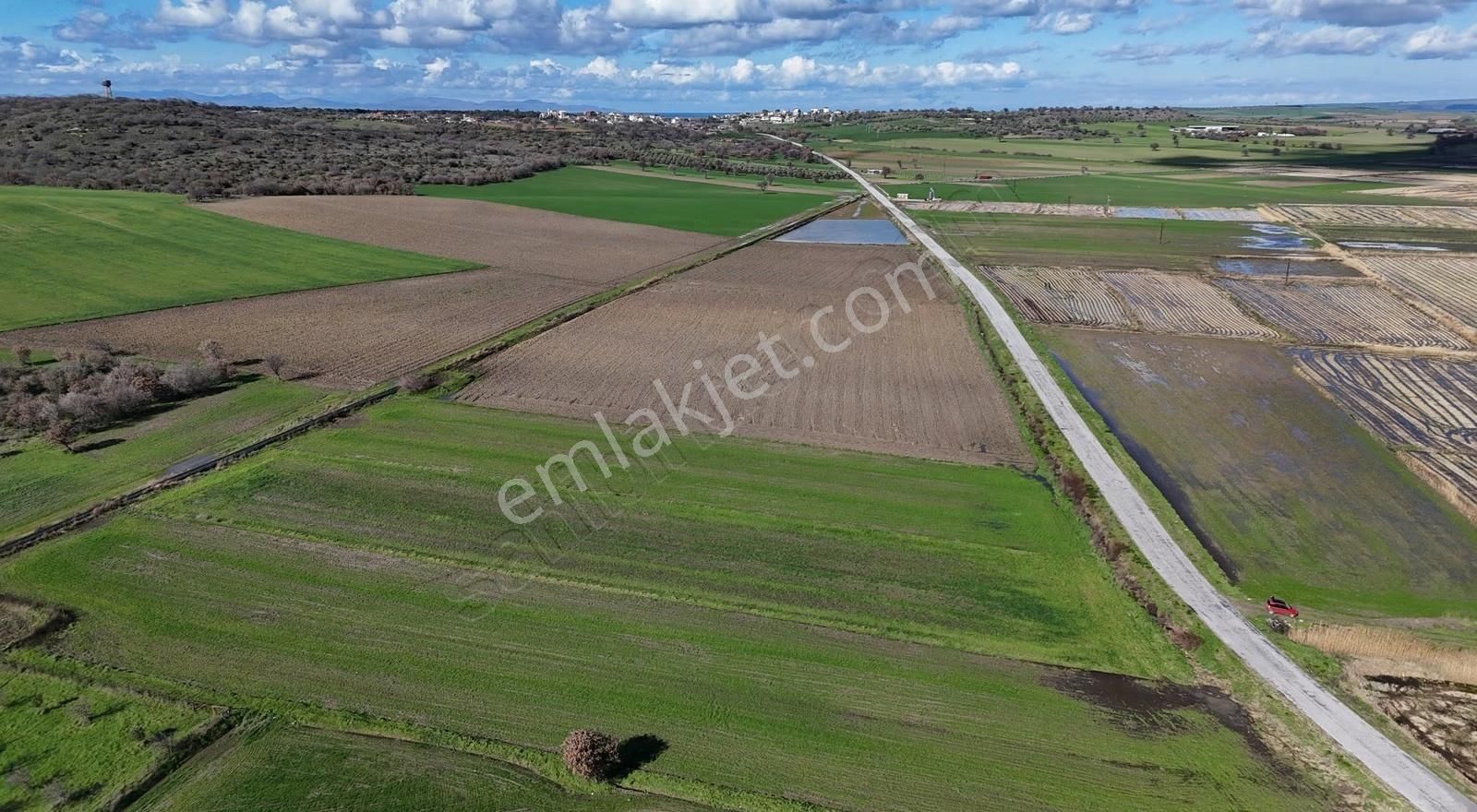 Yeniköyde Asfalt Cepheli, Verimli Ve Yatırımlık Fırsat Tarla