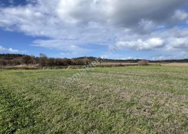 Yeniköyde Asfalt Cepheli, Verimli Ve Yatırımlık Fırsat Tarla - Görsel 6