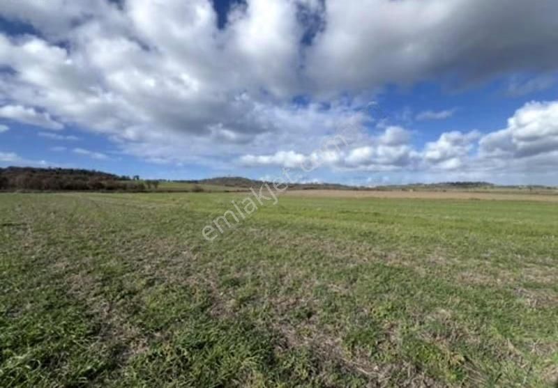 Yeniköyde Asfalt Cepheli, Verimli Ve Yatırımlık Fırsat Tarla - Görsel 3