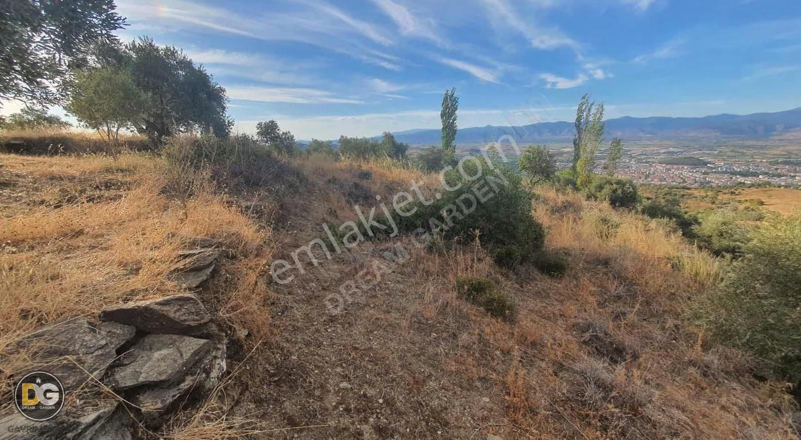 İzmir Tire Kaplan Mahallesinde Satılık Tarla - Görsel 11