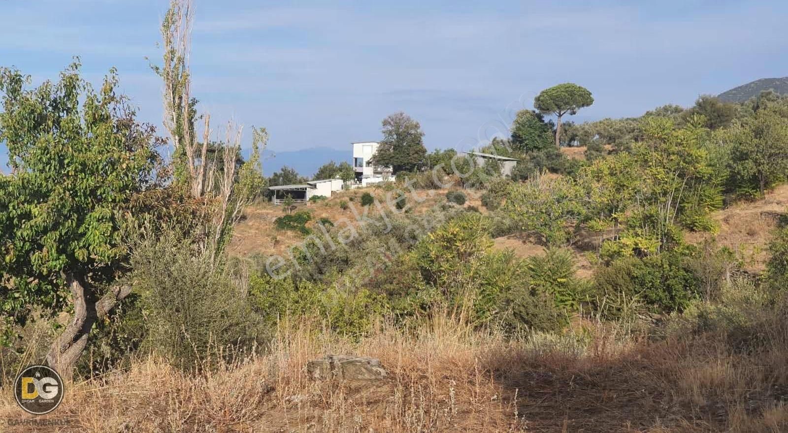 İzmir Tire Kaplan Mahallesinde Satılık Tarla - Görsel 4