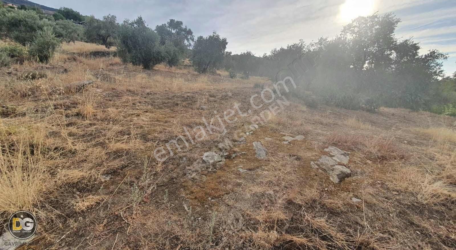 İzmir Tire Kaplan Mahallesinde Satılık Tarla - Görsel 14