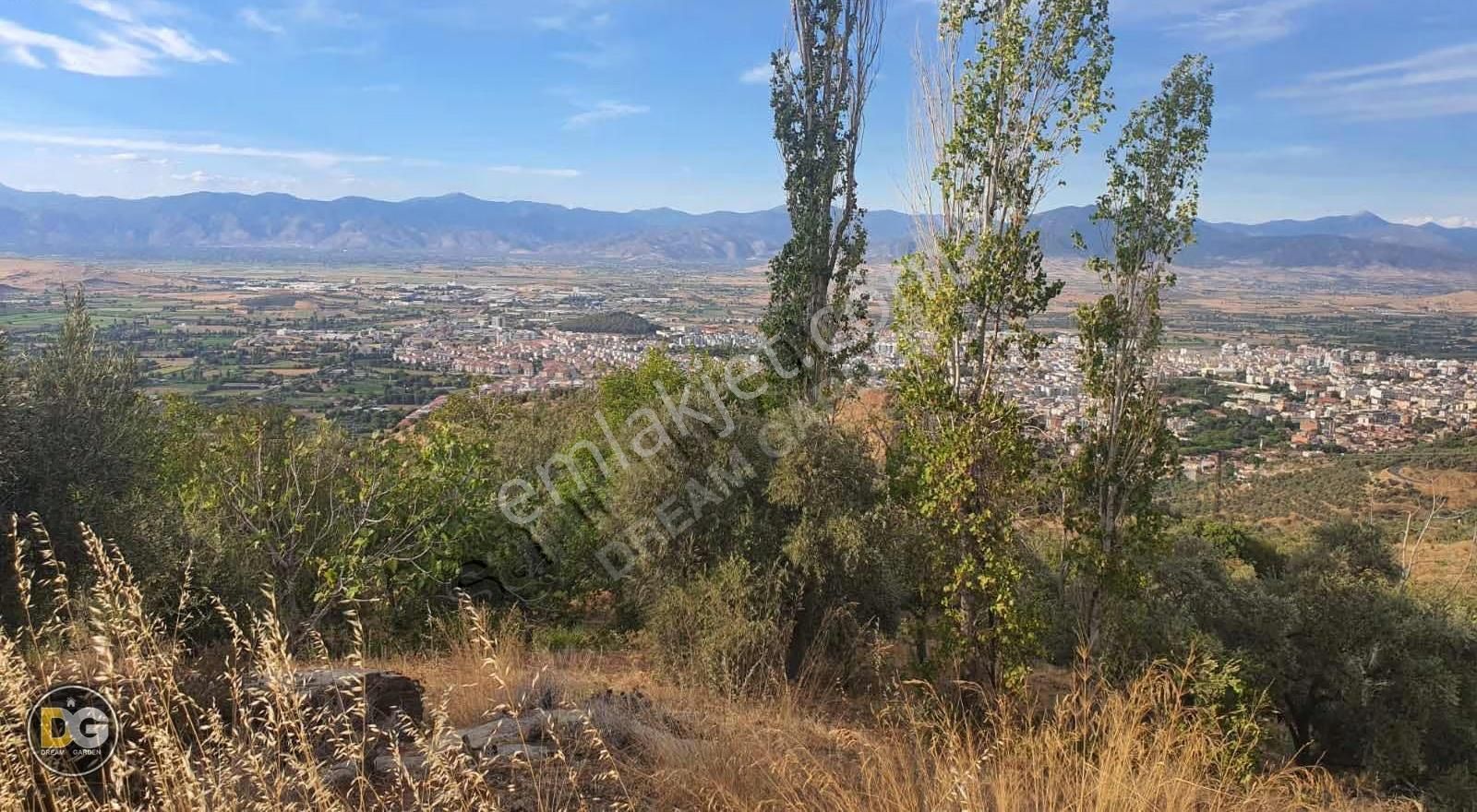 İzmir Tire Kaplan Mahallesinde Satılık Tarla - Görsel 7