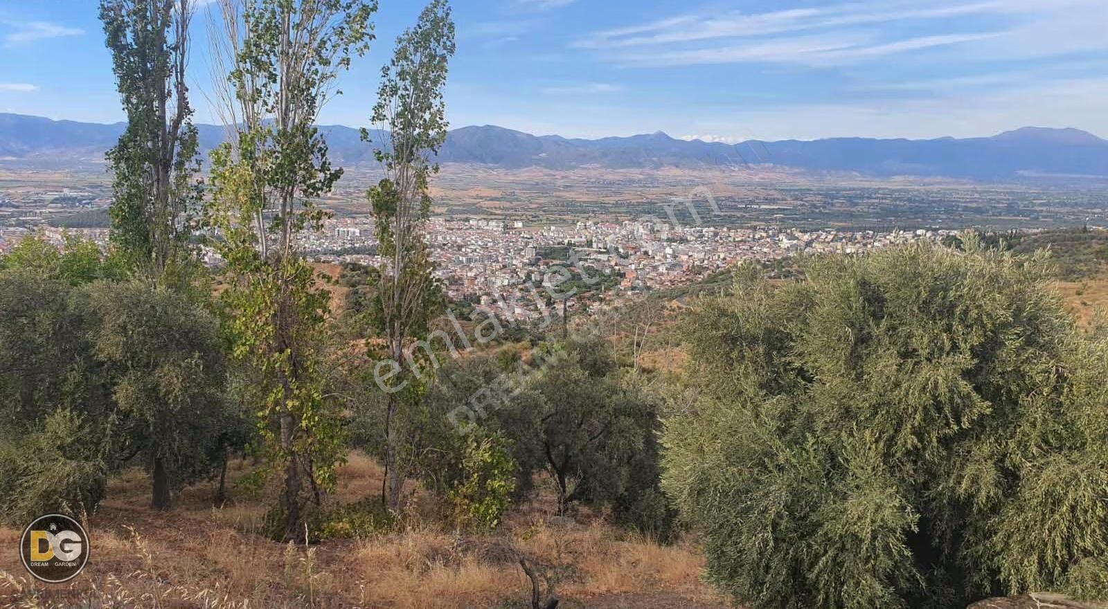 İzmir Tire Kaplan Mahallesinde Satılık Tarla