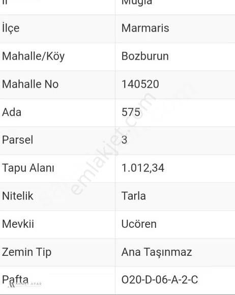 Ahmet Ayar Dan Ucören Yola Cephe 1012 Metrekare - Görsel 2