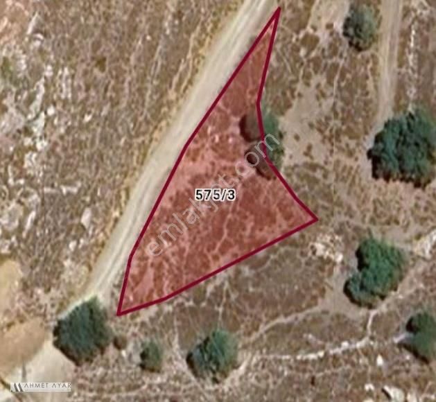 Ahmet Ayar Dan Ucören Yola Cephe 1012 Metrekare