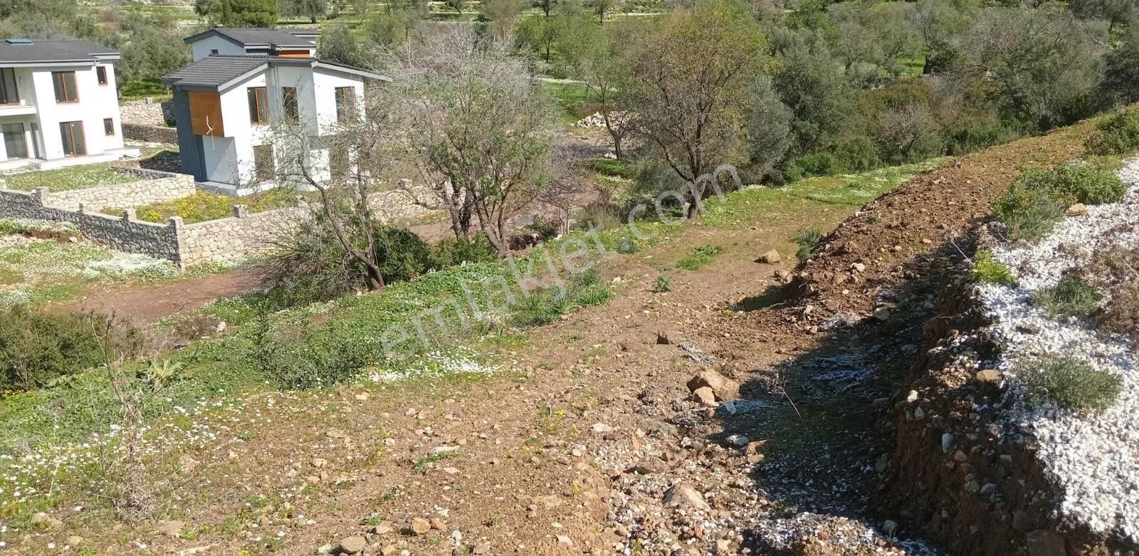 Ahmet Ayar Dan Değirmendere Ana Yola Cephe 1120 Metrekare - Görsel 6