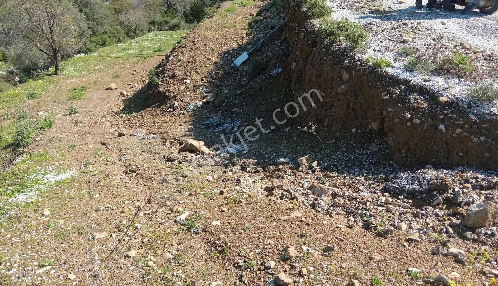 Ahmet Ayar Dan Değirmendere Ana Yola Cephe 1120 Metrekare - Görsel 9