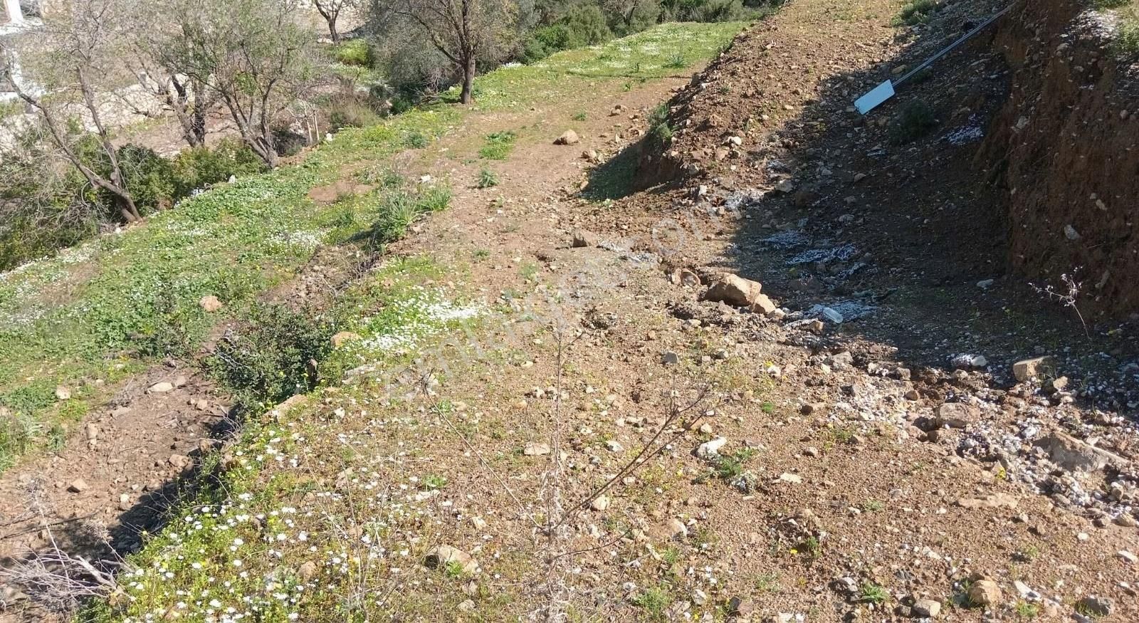 Ahmet Ayar Dan Değirmendere Ana Yola Cephe 1120 Metrekare - Görsel 5