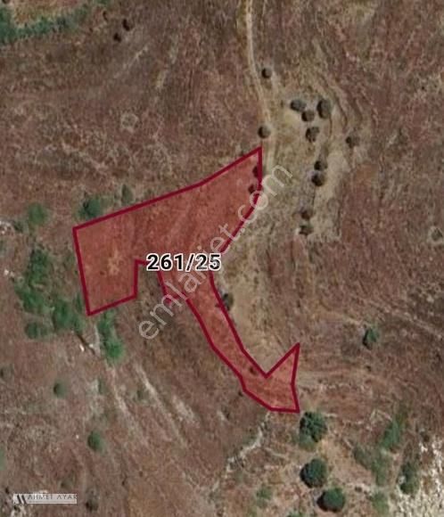 Ahmet Ayar Dan Yeşilova Deniz Manzaralı 3276 Metrekare - Görsel 6