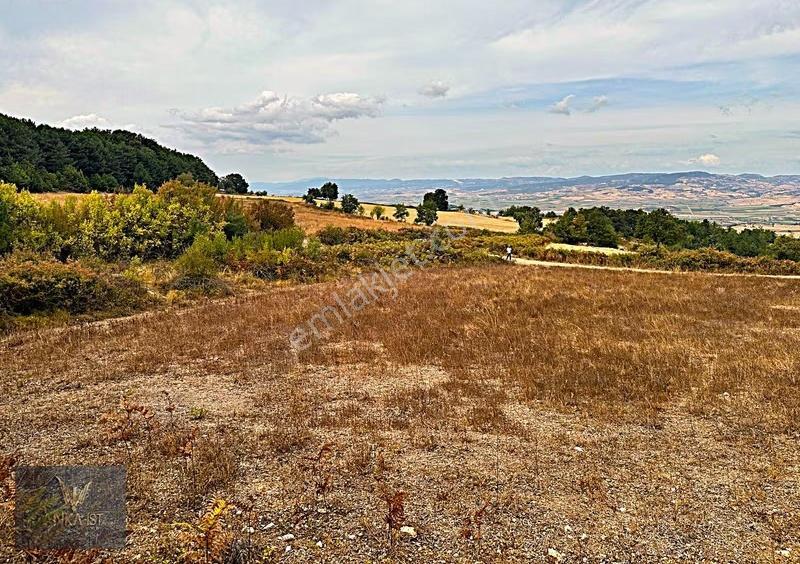 Bilecik Merkez Kınık Köyü Yatırımlık Müstakil Yol Kenarı Parsel