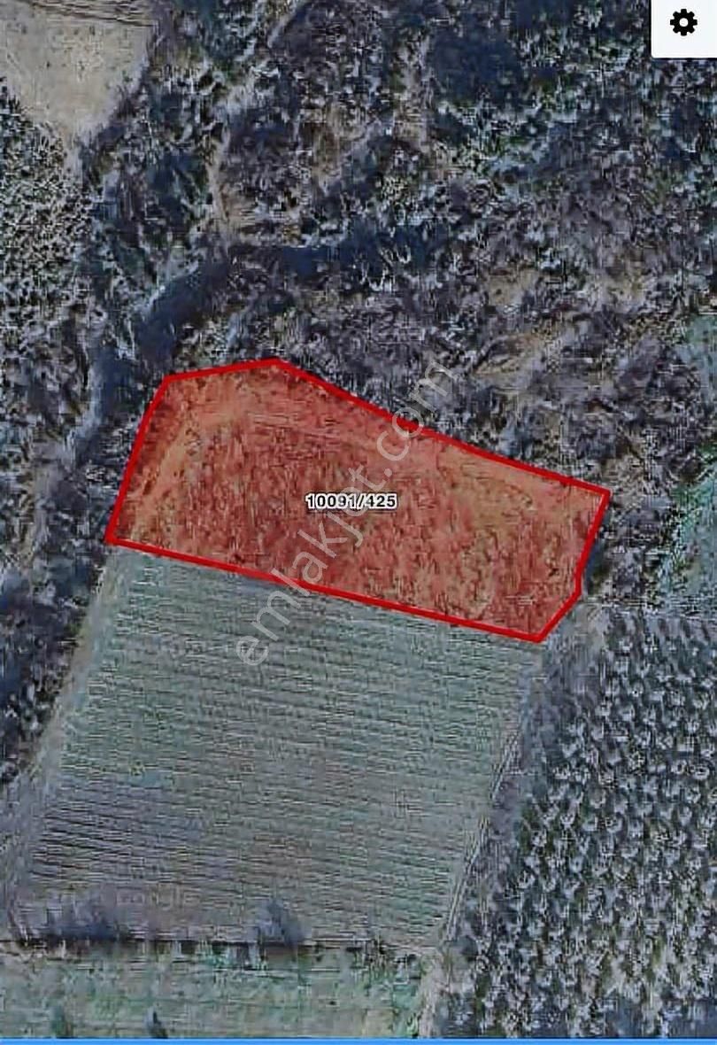 Osmangazi Aksungur Koru Arkası Mevkiinde Satılık Bağ