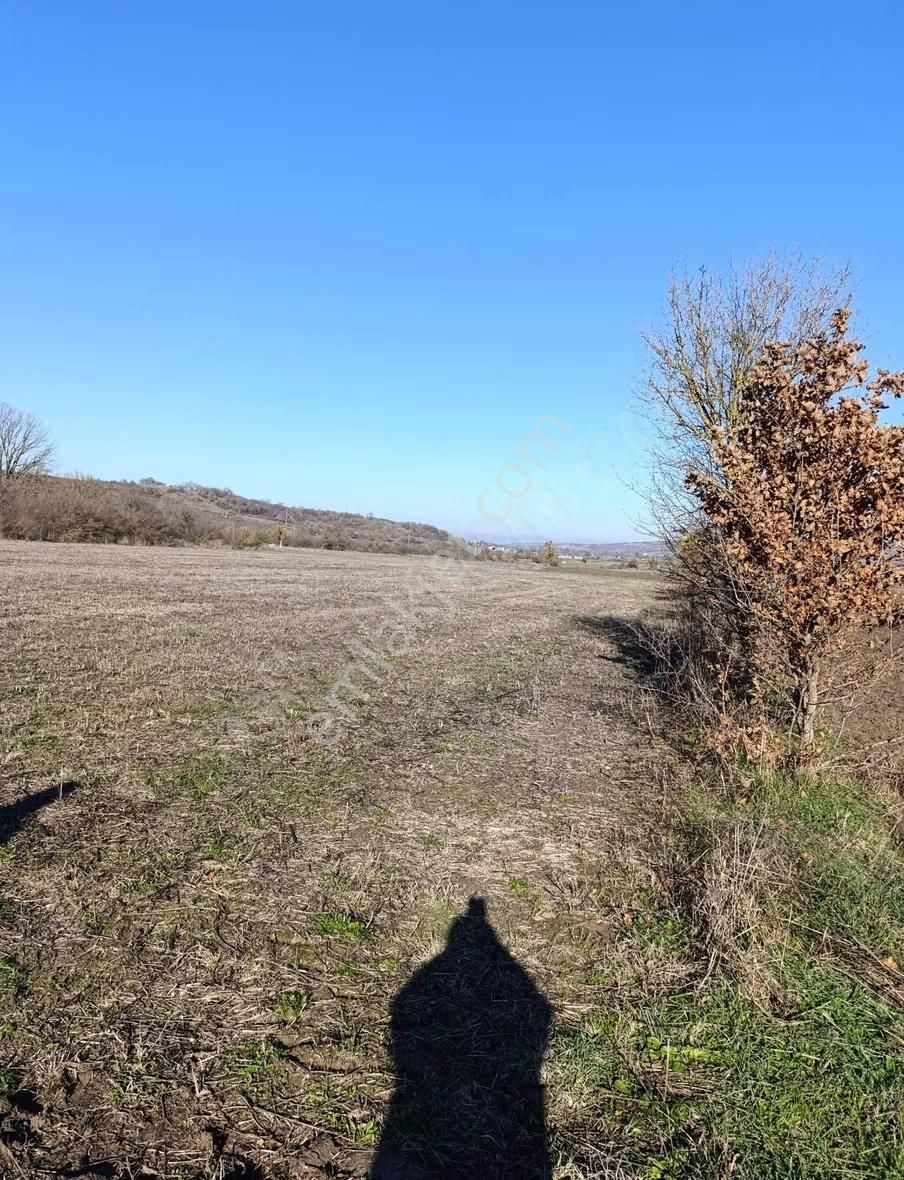 Asya Gayrimenkulden Kemalpaşa Karaorman Da Yola Cephe Tarla