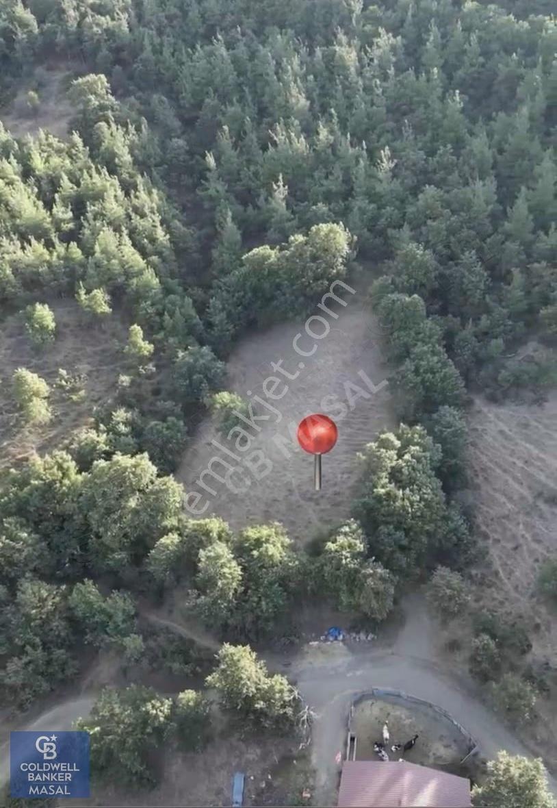 Balıkesir Susurluk Gökçeağaç 1700 M² Müstakil Tapulu Yola Cephe - Görsel 6