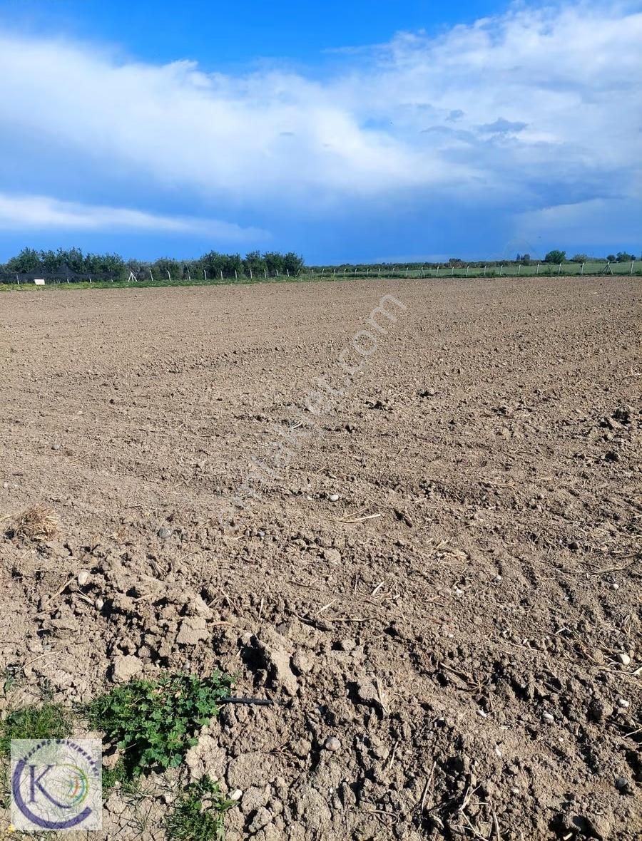 Tarsus Mahmutğa'da Satılık 11.675 M² Tarla