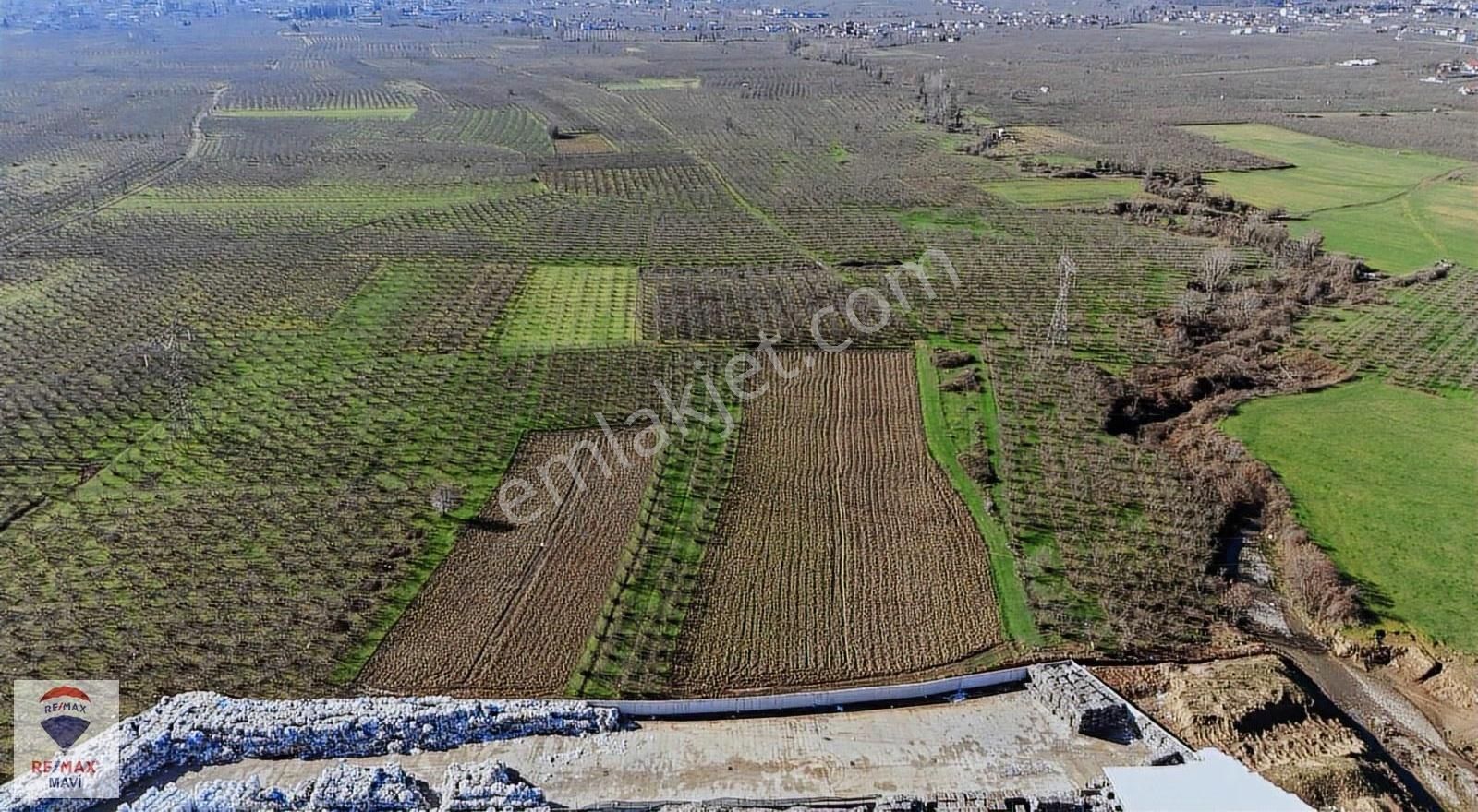 Remax Mavi Cengiz Özdemir'den 5.494 M² Arazi - Görsel 6