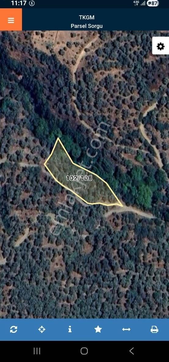 Ersoy Emlak'tan Satılık Zeytinlik - Görsel 2